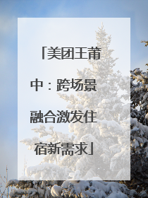 美团王莆中：跨场景融合激发住宿新需求