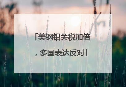 美钢铝关税加倍，多国表达反对
