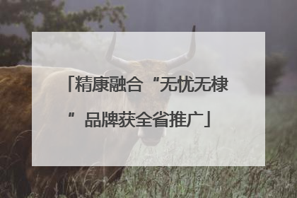 精康融合“无忧无棣”品牌获全省推广