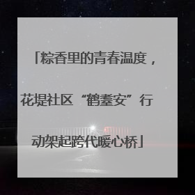 粽香里的青春温度，花堤社区“鹤耋安”行动架起跨代暖心桥