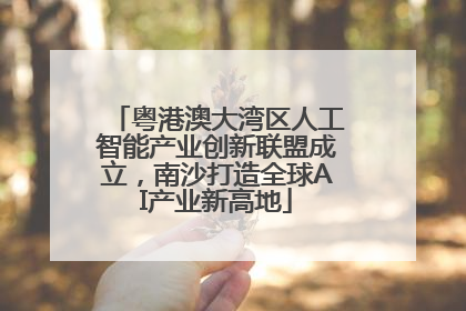 粤港澳大湾区人工智能产业创新联盟成立，南沙打造全球AI产业新高地