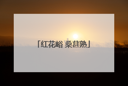 红花峪 桑葚熟