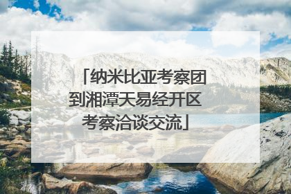 纳米比亚考察团到湘潭天易经开区考察洽谈交流
