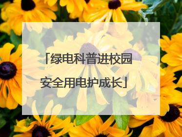 绿电科普进校园 安全用电护成长