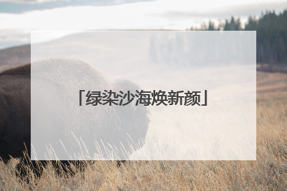 绿染沙海焕新颜