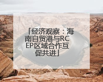 经济观察：海南自贸港与RCEP区域合作互促共进