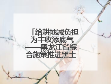 给耕地减负担 为丰收添底气——黑龙江省综合施策推进黑土地保护利用