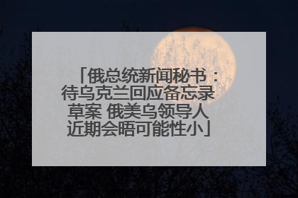 俄总统新闻秘书：待乌克兰回应备忘录草案 俄美乌领导人近期会晤可能性小