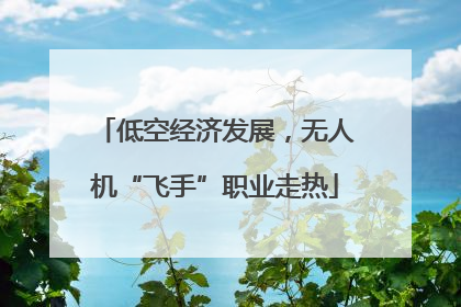 低空经济发展，无人机“飞手”职业走热