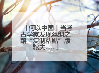 何以中国丨当考古学家发现丝绸之路“复制粘贴”版驼夫……