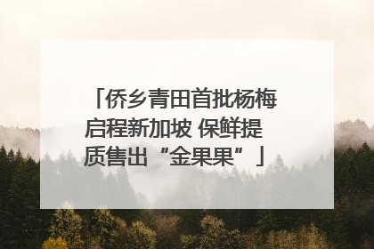 侨乡青田首批杨梅启程新加坡 保鲜提质售出“金果果”