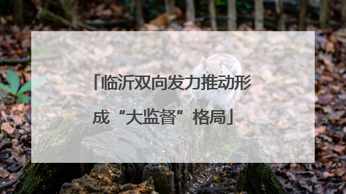 临沂双向发力推动形成“大监督”格局