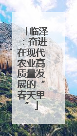 临泽：奋进在现代农业高质量发展的“春天里”