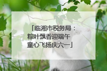 临湘市税务局：粽叶飘香迎端午 童心飞扬庆六一