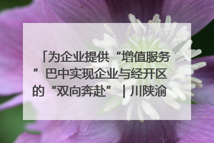 为企业提供“增值服务”巴中实现企业与经开区的“双向奔赴”｜川陕渝网络名人巴中行
