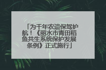 为千年农遗保驾护航！《丽水市青田稻鱼共生系统保护发展条例》正式施行