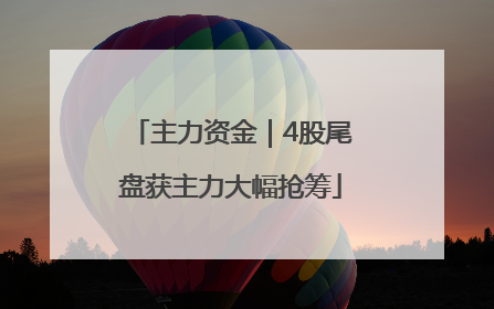 主力资金｜4股尾盘获主力大幅抢筹