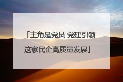 主角是党员 党建引领这家民企高质量发展