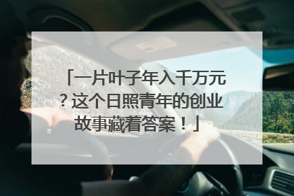 一片叶子年入千万元？这个日照青年的创业故事藏着答案！