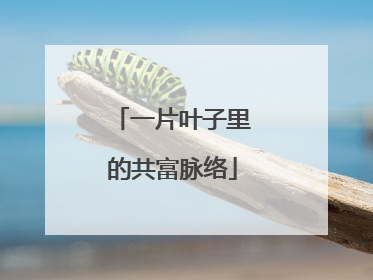 一片叶子里的共富脉络