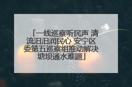 一线巡察听民声 清流汨汨润民心 安宁区委第五巡察组推动解决塘坝通水难题