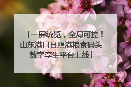 一屏统览，全局可控！山东港口日照港粮食码头数字孪生平台上线
