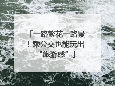 一路繁花一路景！乘公交也能玩出“旅游感”