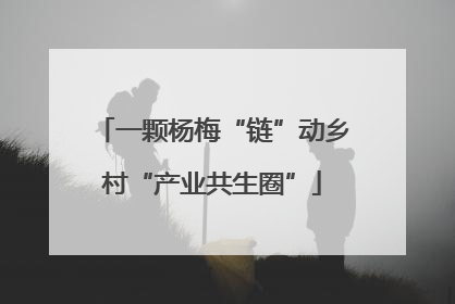 一颗杨梅“链”动乡村“产业共生圈”