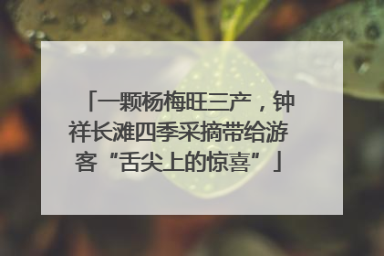 一颗杨梅旺三产，钟祥长滩四季采摘带给游客“舌尖上的惊喜”