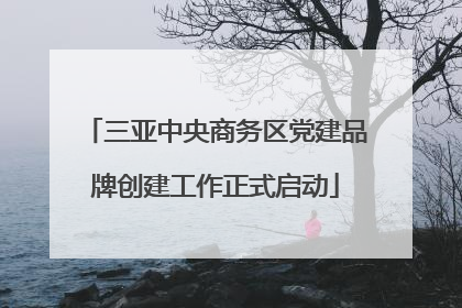 三亚中央商务区党建品牌创建工作正式启动