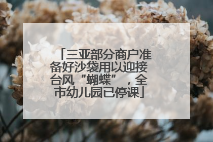 三亚部分商户准备好沙袋用以迎接台风“蝴蝶”，全市幼儿园已停课