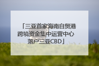 三亚首家海南自贸港跨境资金集中运营中心落户三亚CBD