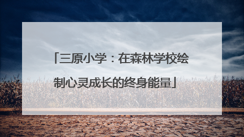 三原小学：在森林学校绘制心灵成长的终身能量