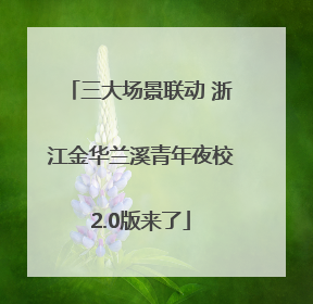 三大场景联动 浙江金华兰溪青年夜校2.0版来了