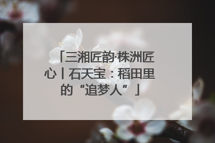 三湘匠韵·株洲匠心丨石天宝：稻田里的“追梦人”