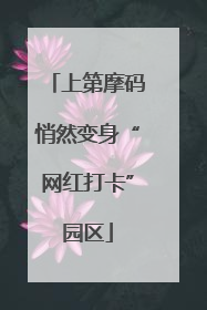 上第摩码悄然变身“网红打卡”园区