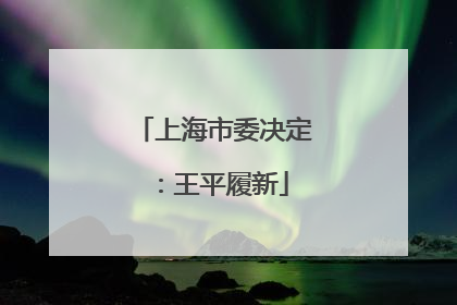 上海市委决定：王平履新
