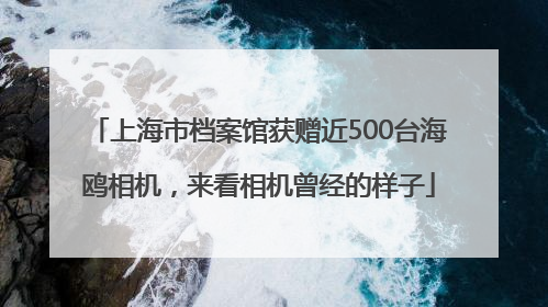 上海市档案馆获赠近500台海鸥相机，来看相机曾经的样子