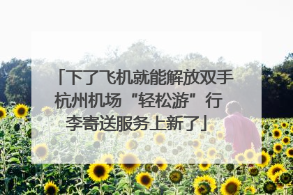下了飞机就能解放双手 杭州机场“轻松游”行李寄送服务上新了