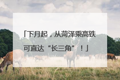下月起，从菏泽乘高铁可直达“长三角”！