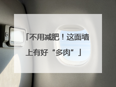 不用减肥！这面墙上有好“多肉”