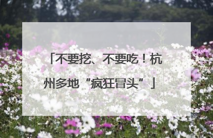 不要挖、不要吃！杭州多地“疯狂冒头”
