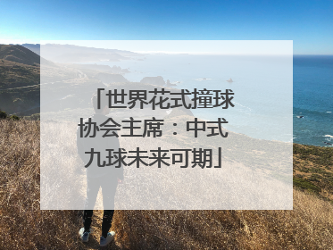 世界花式撞球协会主席：中式九球未来可期
