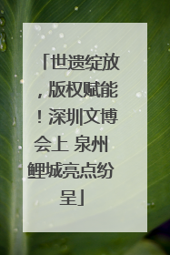世遗绽放，版权赋能！深圳文博会上 泉州鲤城亮点纷呈