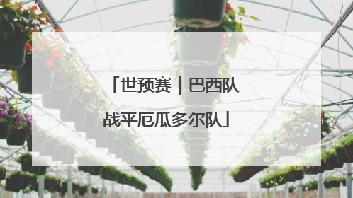 世预赛｜巴西队战平厄瓜多尔队