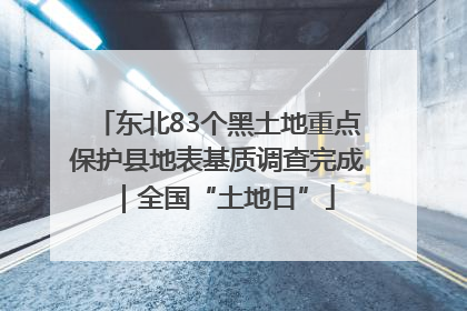 东北83个黑土地重点保护县地表基质调查完成｜全国“土地日”