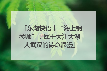 东湖快语丨“海上钢琴师”，属于大江大湖大武汉的诗意浪漫
