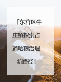 东营区牛庄镇探索占道晒粮治理新路径
