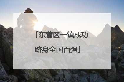 东营区一镇成功跻身全国百强
