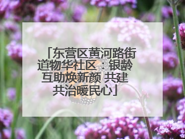 东营区黄河路街道物华社区：银龄互助焕新颜 共建共治暖民心